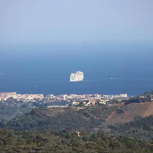 Des Oliviers Le Tignet