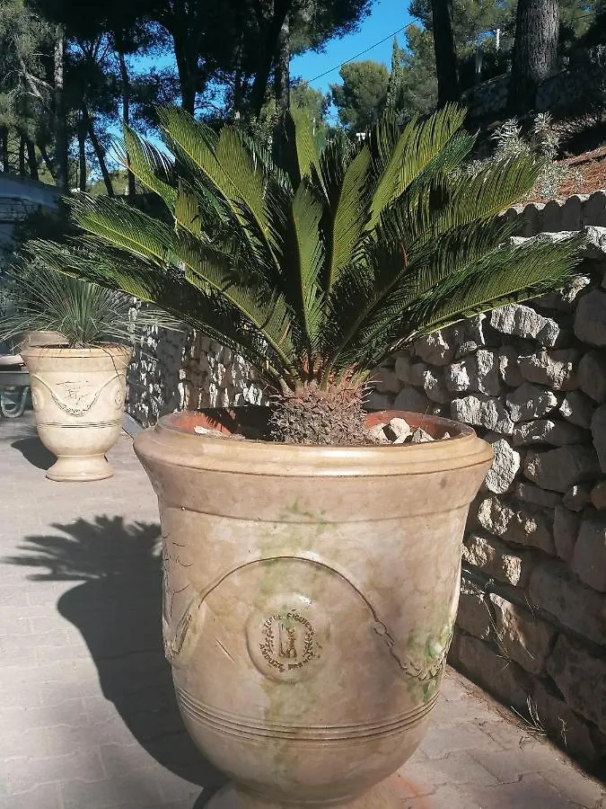 Πανσιόν Le Mas Des Roches A Velaux