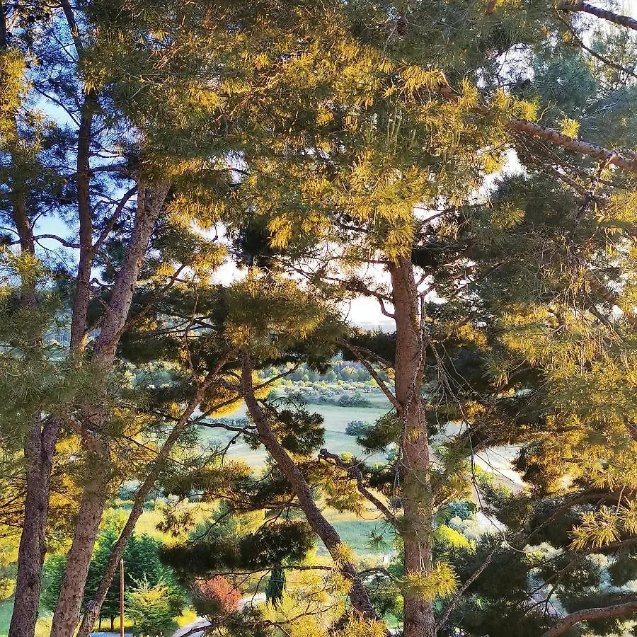 Le Mas des Roches à Velaux 5*,  Francia