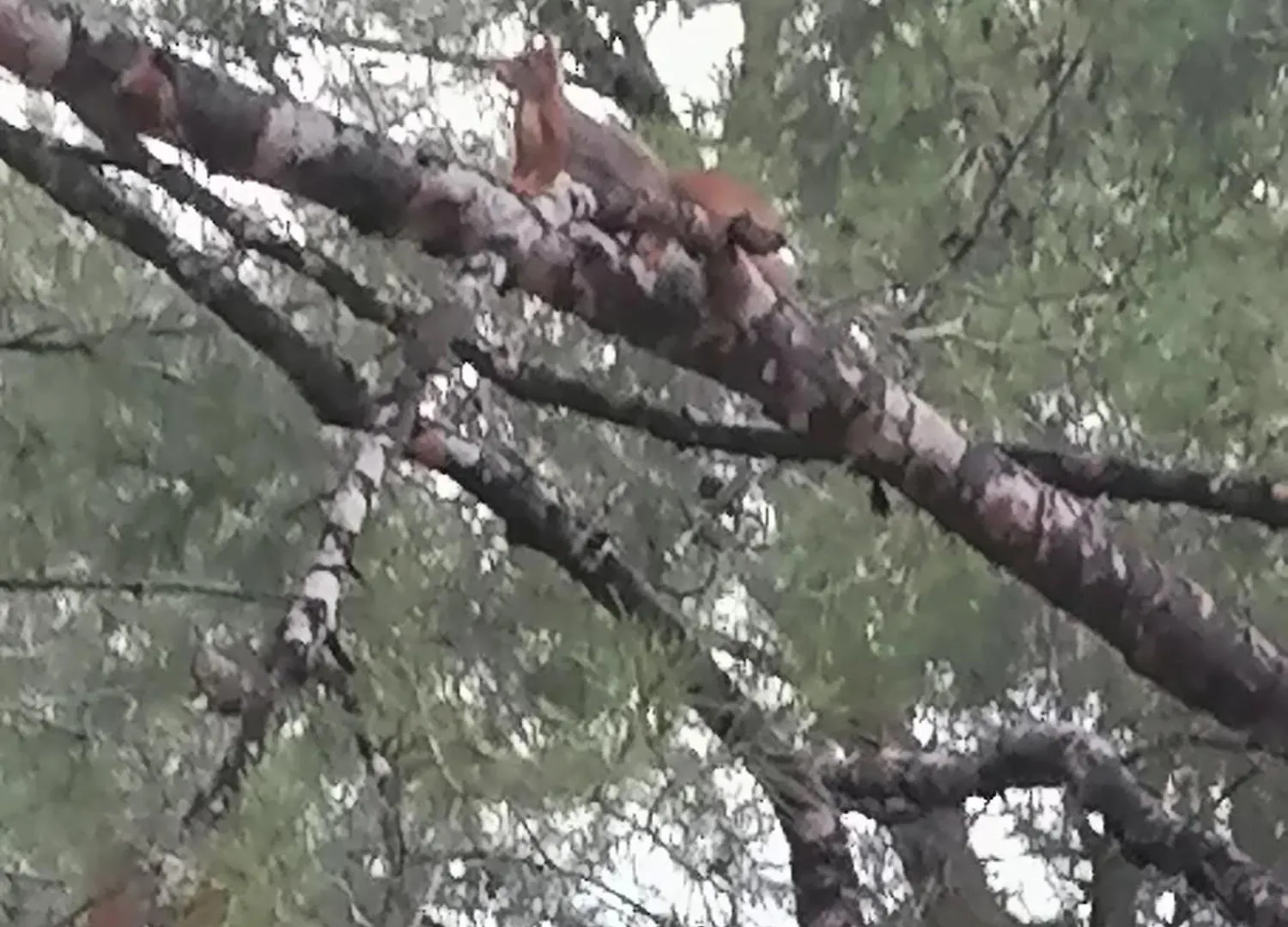 Affittacamere Le Mas des Roches à Velaux